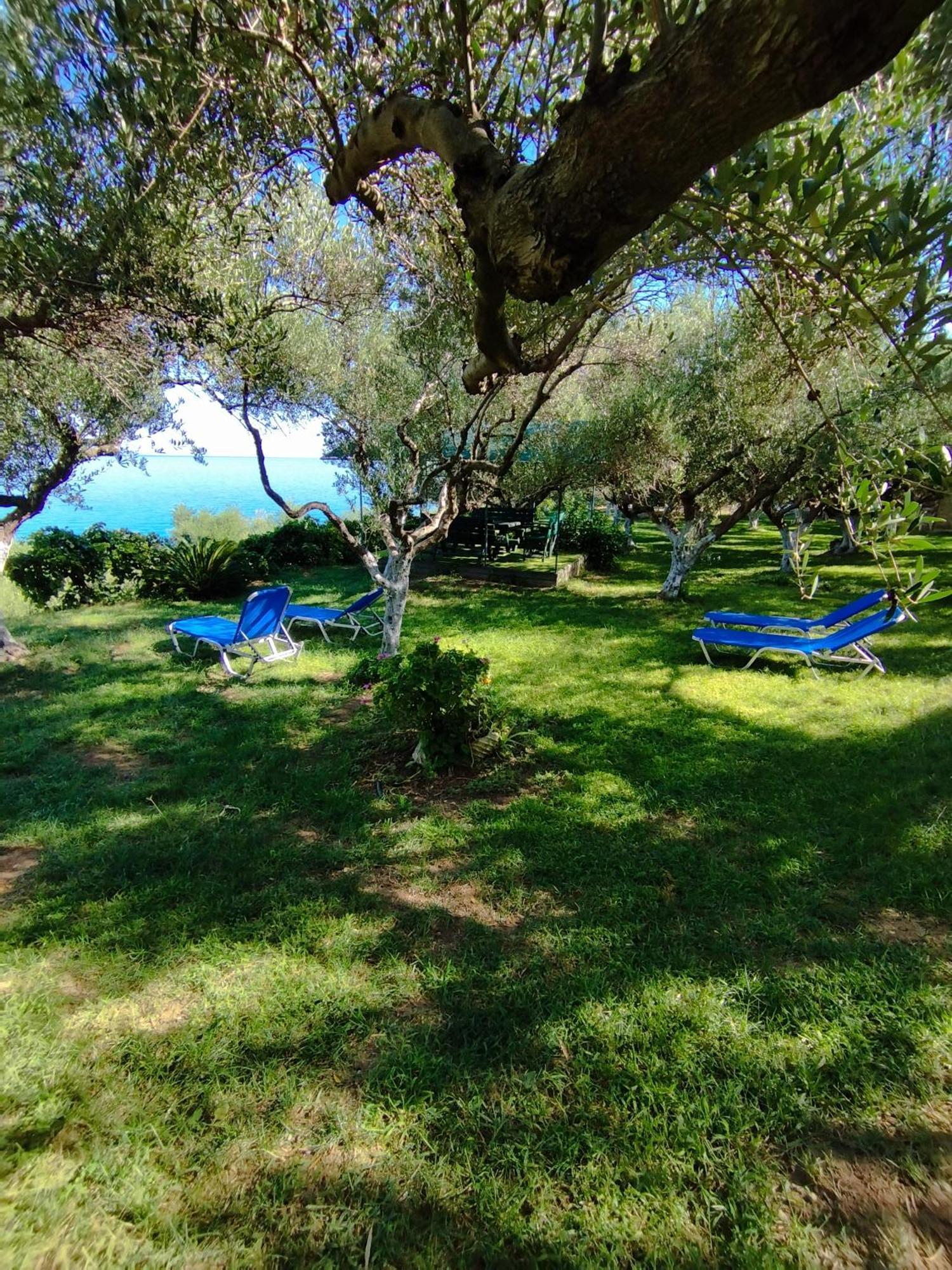 Villa Agia Aikaterini Amoudi Ngoại thất bức ảnh