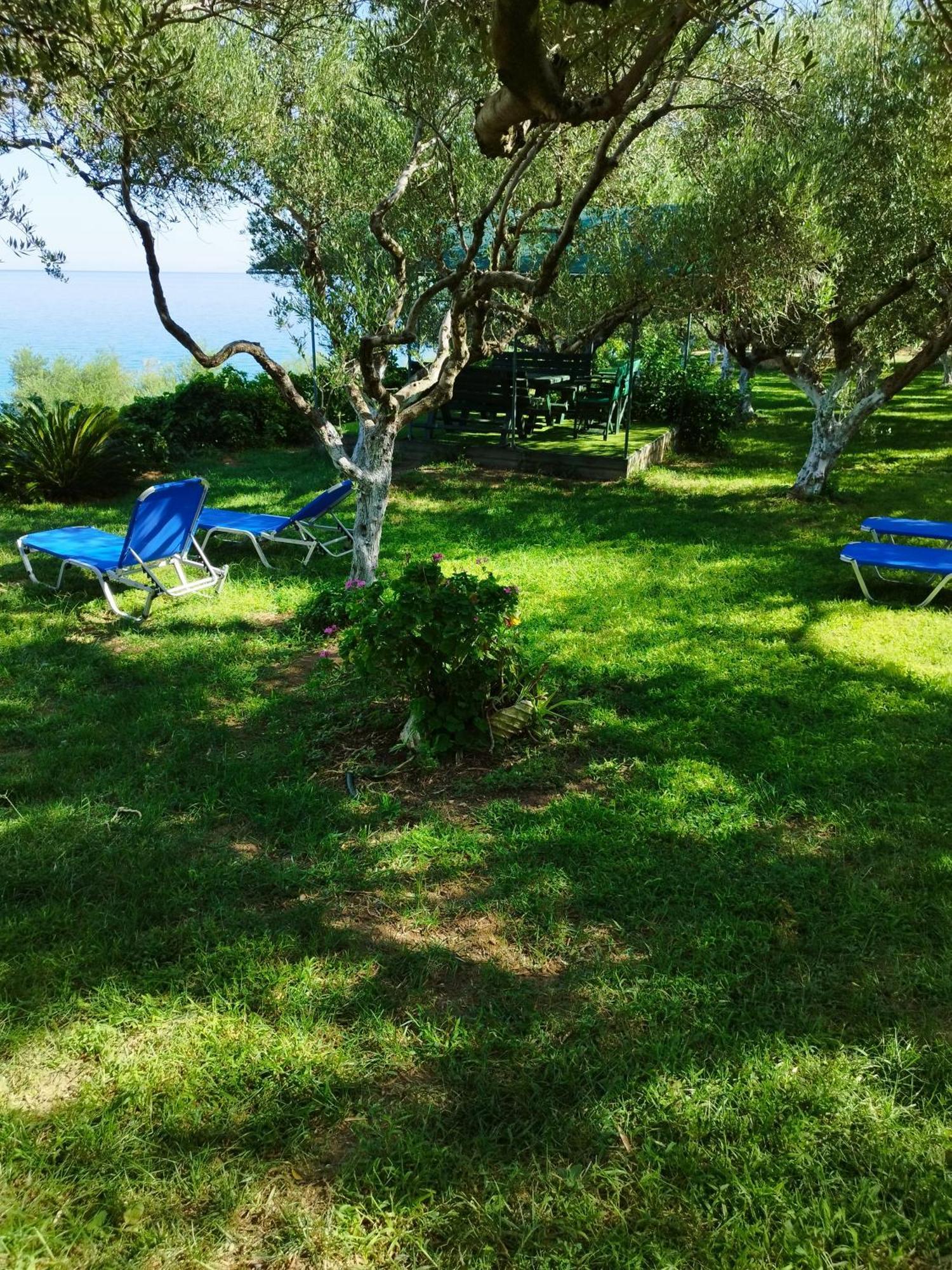 Villa Agia Aikaterini Amoudi Ngoại thất bức ảnh
