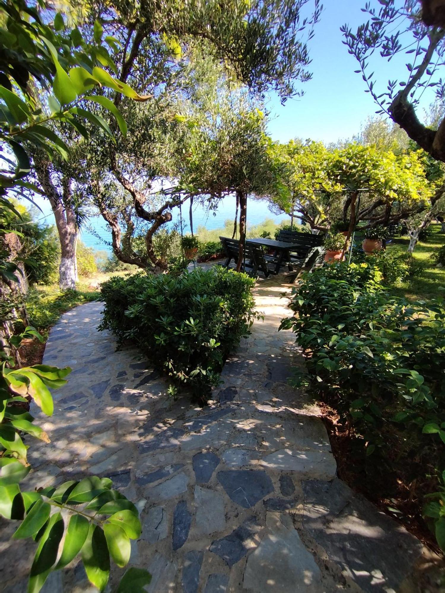 Villa Agia Aikaterini Amoudi Ngoại thất bức ảnh