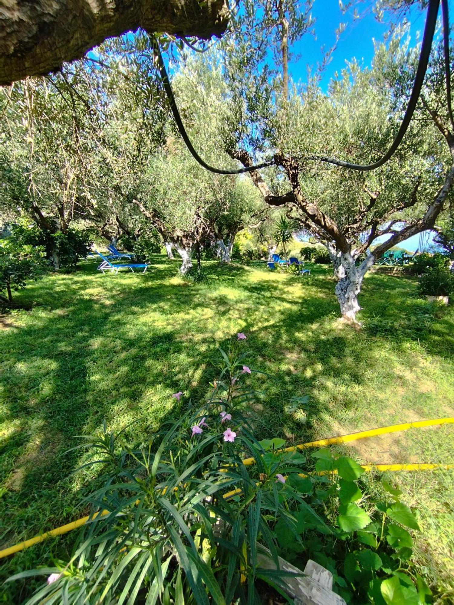 Villa Agia Aikaterini Amoudi Ngoại thất bức ảnh
