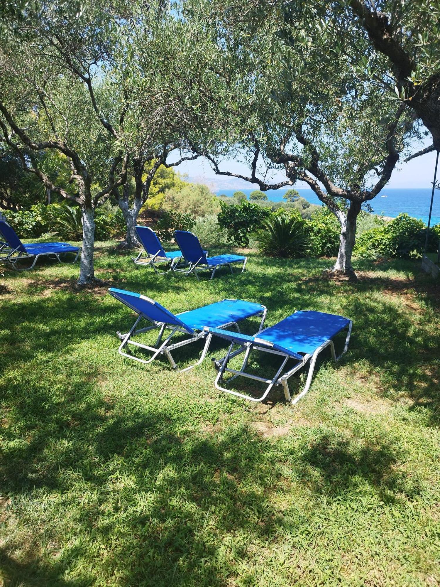 Villa Agia Aikaterini Amoudi Ngoại thất bức ảnh