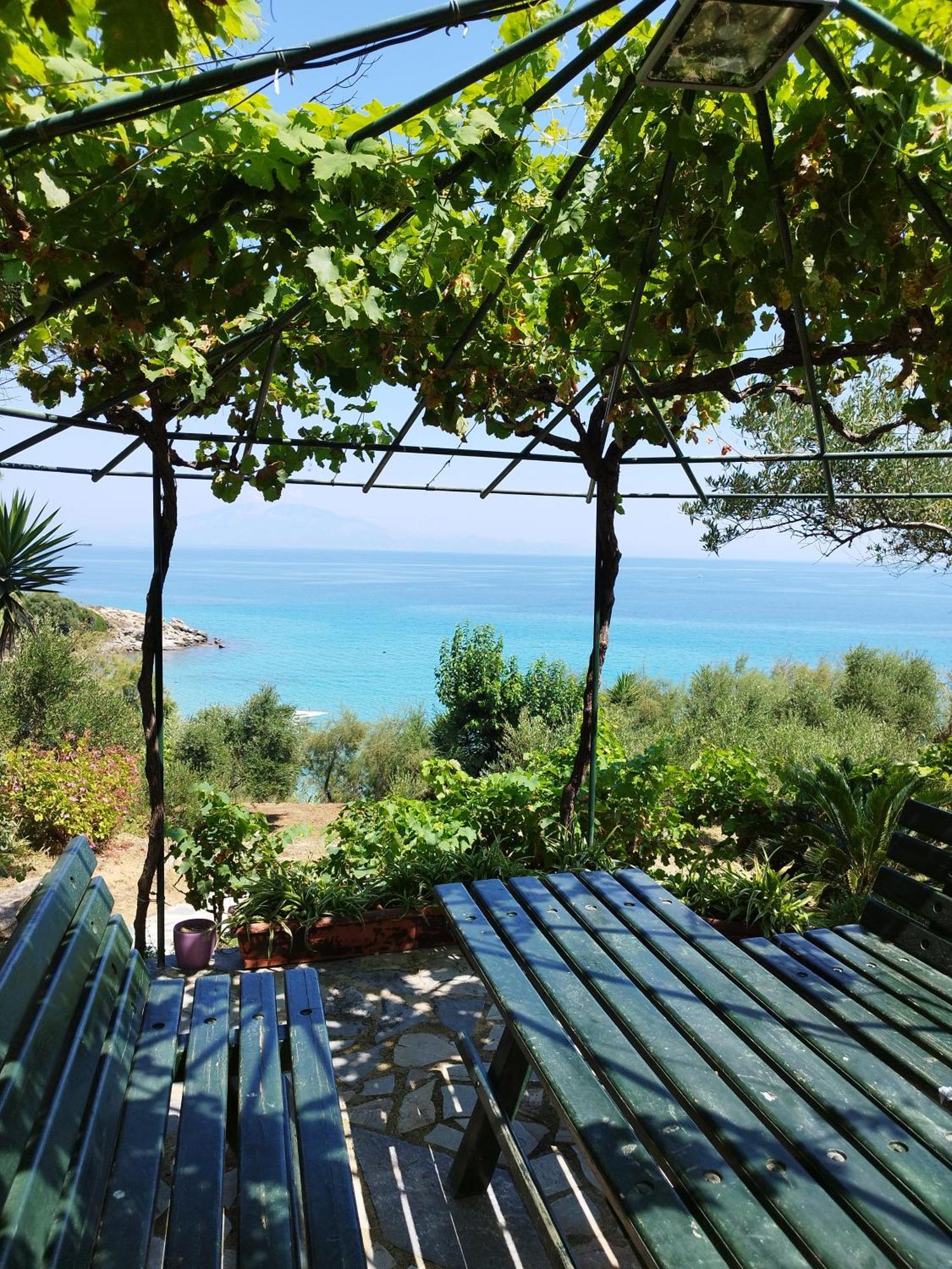 Villa Agia Aikaterini Amoudi Ngoại thất bức ảnh