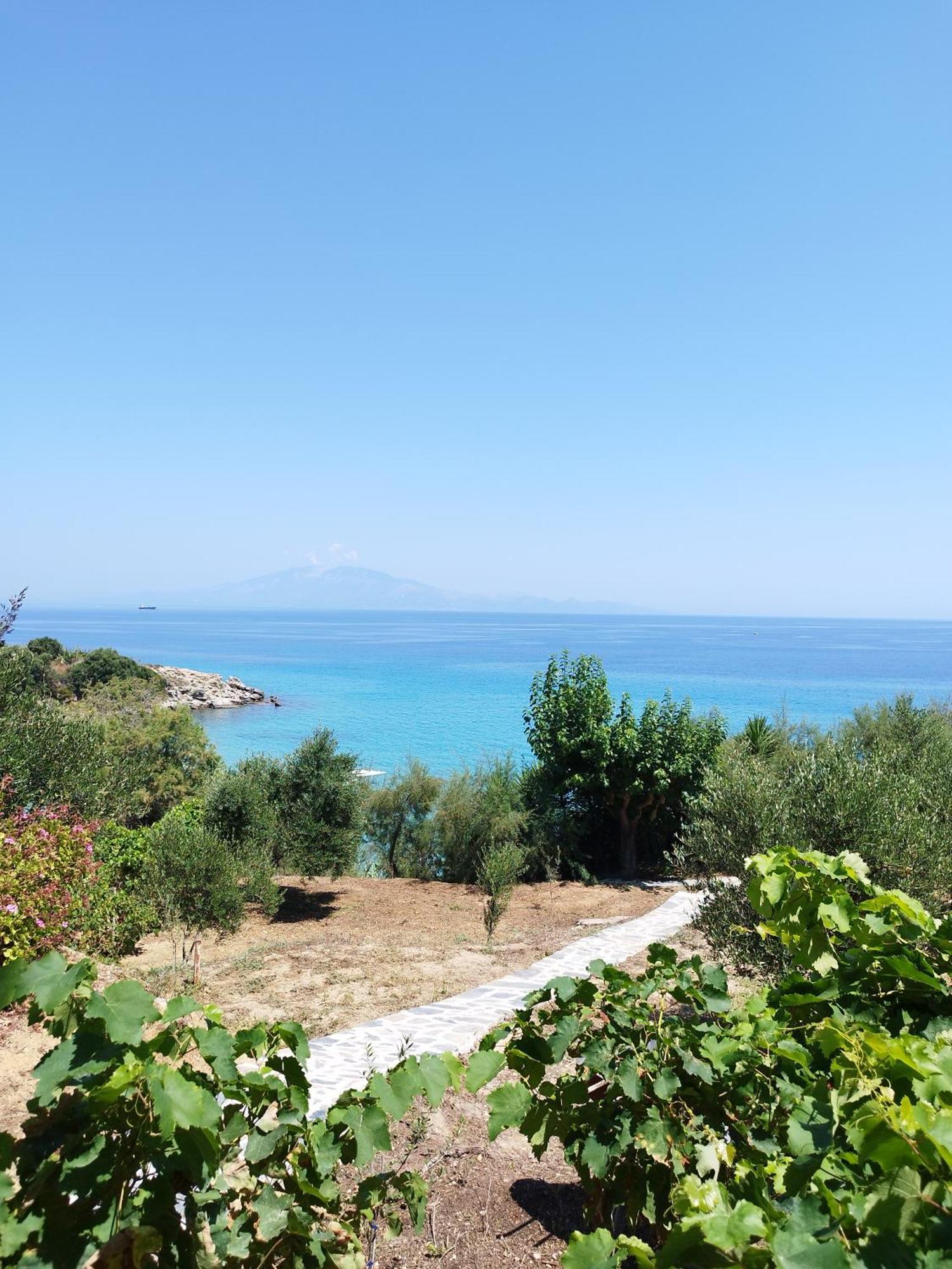 Villa Agia Aikaterini Amoudi Ngoại thất bức ảnh
