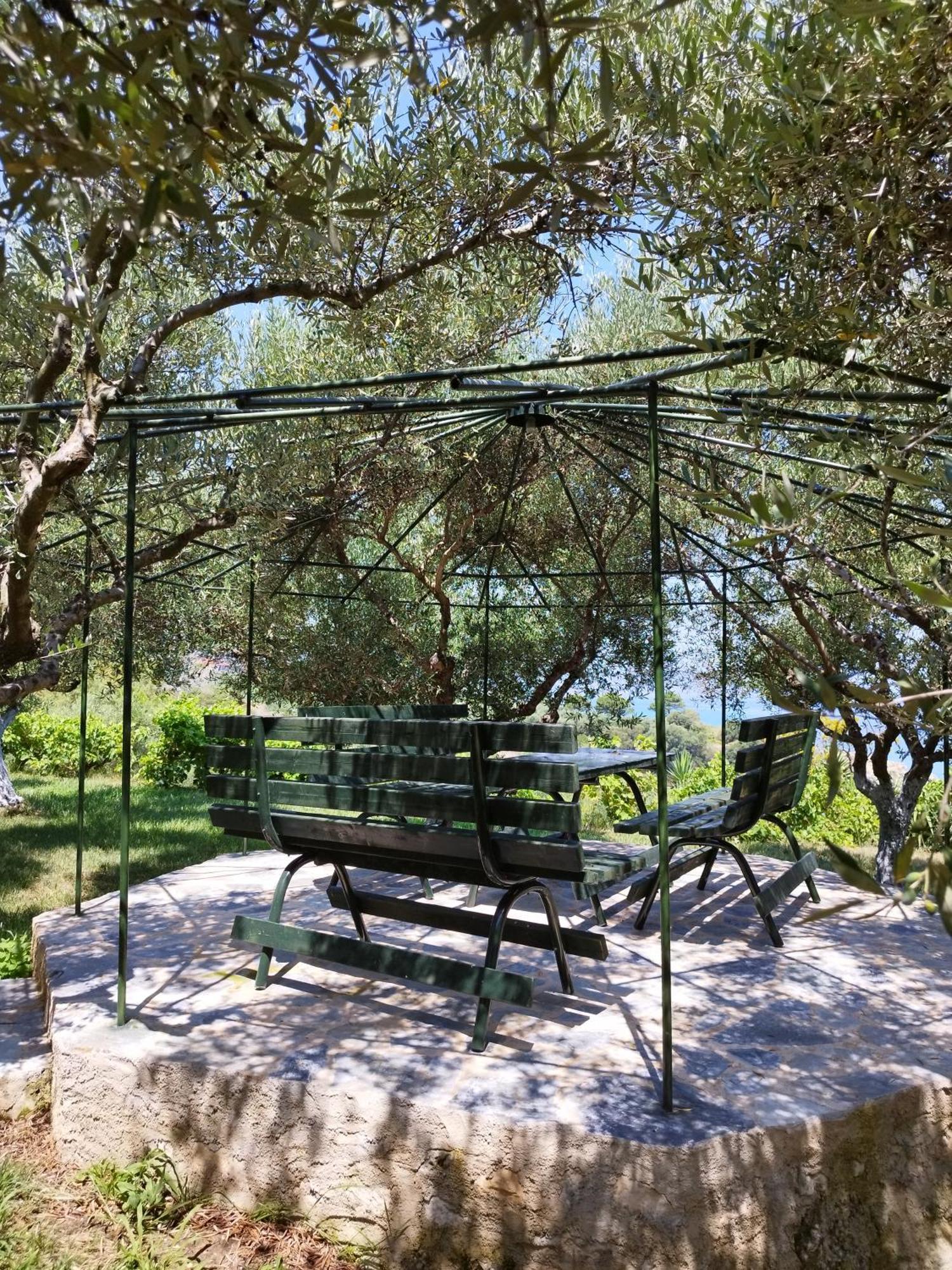 Villa Agia Aikaterini Amoudi Ngoại thất bức ảnh