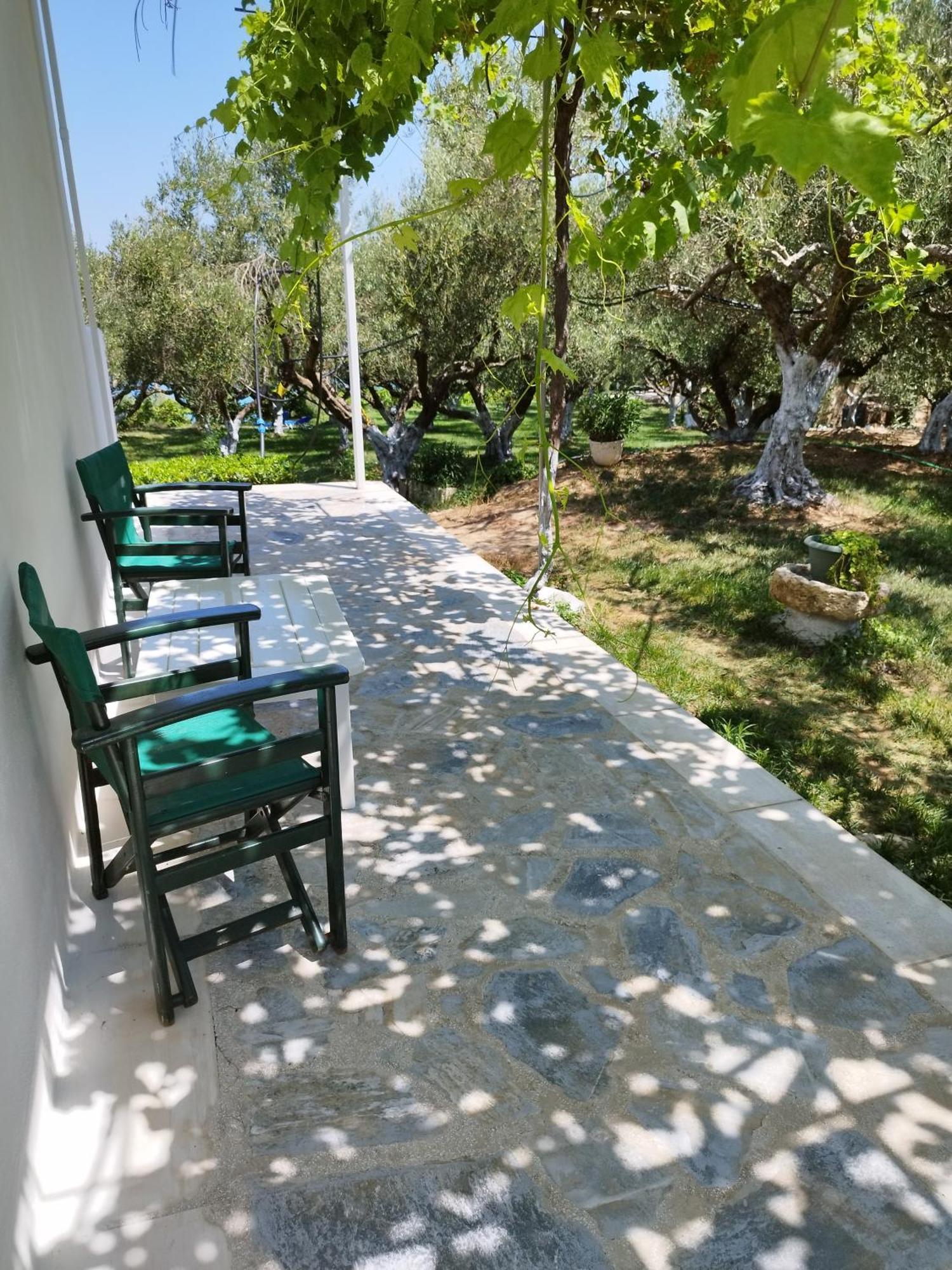 Villa Agia Aikaterini Amoudi Ngoại thất bức ảnh